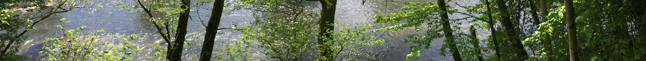 Hintergrundbild Fluss Wiese Maulburg